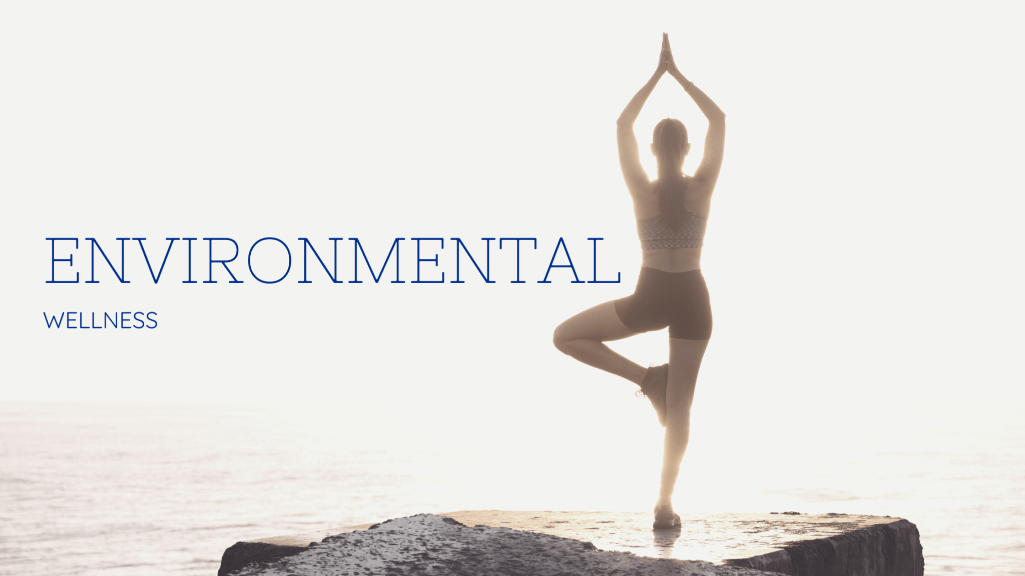 tips-to-improve-environmental-wellness