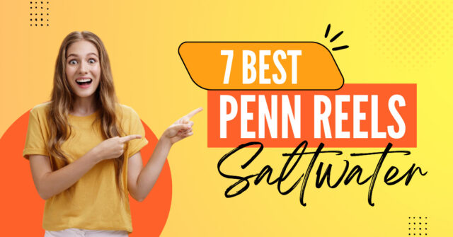 7 Best Penn Spinning Reels for salt water