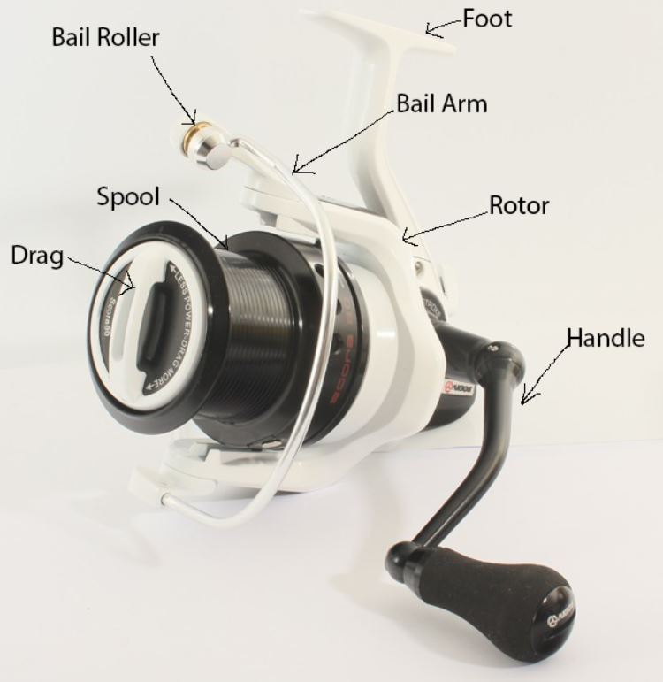 Different Parts of Spinning Reel 